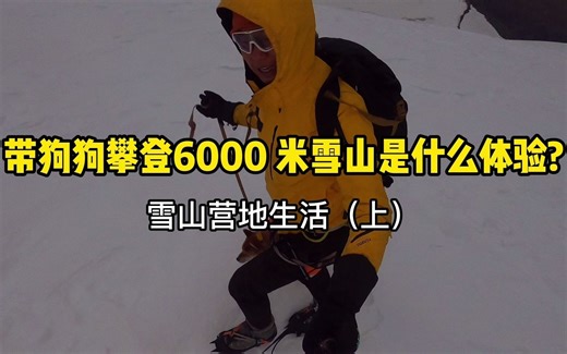 带狗狗攀登6000米雪山——玉珠峰，视频讲从大本营生活开始说起，对想要挑战人生第一座雪山的一定有帮助。