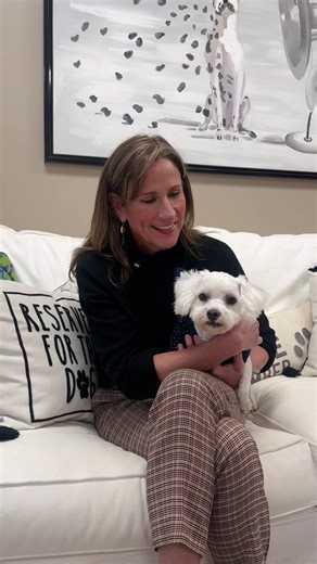 Jazz Cat Ball single tickets are on sale now and going fast. 🎭✨ This Mardi Gras–style night supports animals like Gorgeous George and his shelter friends, with an incredible silent auction, casino prizes, and a party you won’t want to miss. George, a sweet 3-year-old Maltese, will be available for adoption soon, and he’s just one of many dogs and cats waiting to meet their forever families. Come visit us and find your next best friend. Celebrate with us. Adopt with us. We’ll see you at Jazz Cat