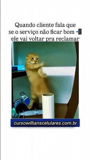 Curso Manutenção de Software em Celulares Willians Celulares