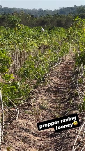 Unique Training Drills with Tyson Fury