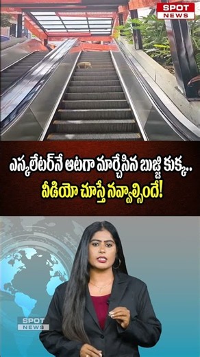 ఎస్కలేటర్‌నే ఆటగా మార్చేసిన బుజ్జి కుక్క.. వీడియో చూస్తే నవ్వాల్సిందే! | Little Dog | Spot News