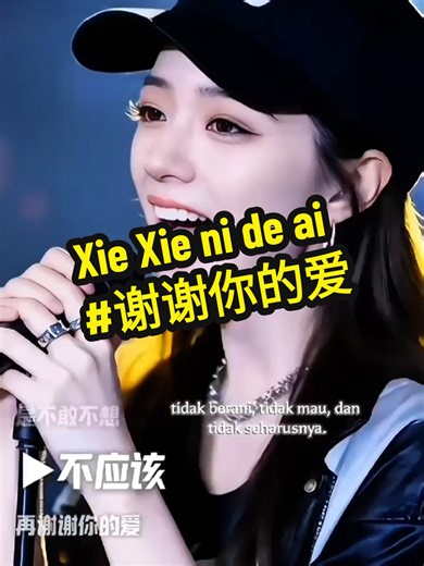 谢谢你的爱 - 女声版经典流行歌曲