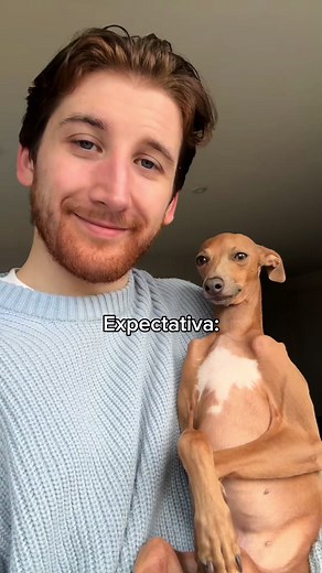 Suricato: Conheça o Cão Que Encanta a Todos!
