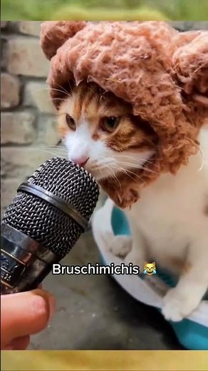 BRUSCHIMICHIS 20 - #shorts