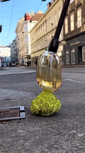 11K views · 112 reactions | “When the idea is to make geometry… there are no limits!!! The limit is your imagination…” | SACRED GEOMETRY | Facebook