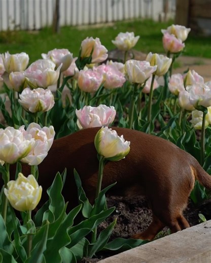 3.3K views · 110 reactions | Lucy Robson on Reels | Facebook