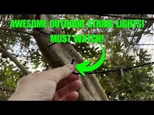 1000 LED Christmas String Lights (REVIEW) – The Best Outdoor Fairy Lights for Trees & Gardens?