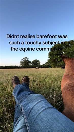 #barefoothorses #equine #equestrian #fyp #unpopluaropinion | horses