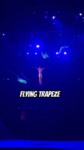· Where my heart beats the fastest ❤️🔥 #circus #flyingtrapeze #tricks #gym #show #shorts