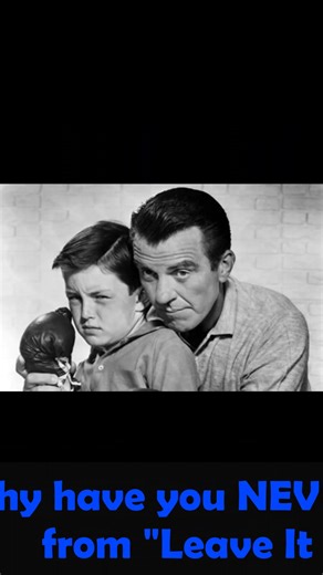 1.3K views · 79 reactions | Why are there no Leave It to Beaver outtakes? The Beav, aka Jerry Mathers, dishes on acting on film!  Jerry Mathers: "Leave It to Beaver" Secrets, Hollywood Memories & Life as America’s Favorite Kid! Full interview on our YouTube channel: www.YouTube.com/DuFoeNet #JerryMathers #LeaveItToBeaver #ClassicTV #BehindTheScenes #OldHollywood #35mmfilm | Tiffany Terry DuFoe | Facebook