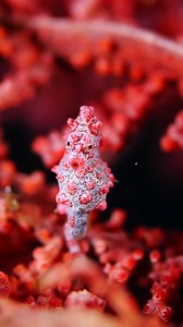 69K views · 3.4K reactions | By popular request, we're thrilled to...