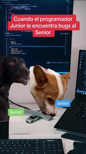 Cuando el programador Junior sorprende al Senior