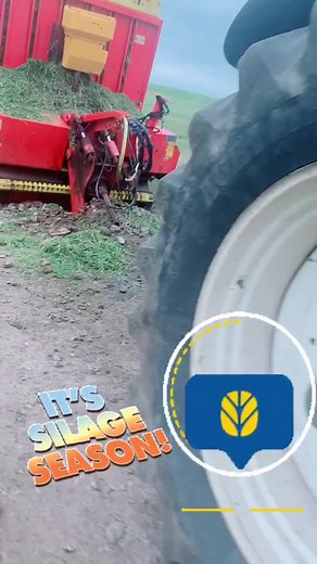 when the passage is bumpy the wagon goes jumpy 😎 #fyp #farmingfuckups #silage #newholland #viral #irishfarmer