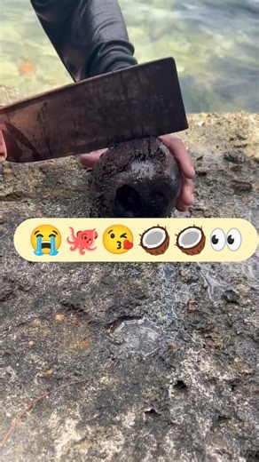 He Found a Strange Sea Creature Hidden Inside a Rock! 😱🐙