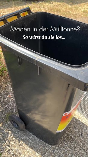 Maden entfernen leicht gemacht: Tipps für Sauberkeit