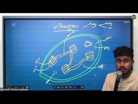 2026 REVISION DAY 02(part01) ජීවයේ රසායනික සහ සෛලීය පදනම #biologyrevision #advancedlevel #2026