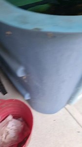 The zoo | Harrison's Gold Coast and Brisbane Snake Catcher