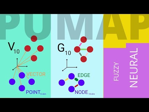 Dimensionality Reduction: Parametric UMAP 2022 = Code Fuzzy Simplicial Complex Topology in AI