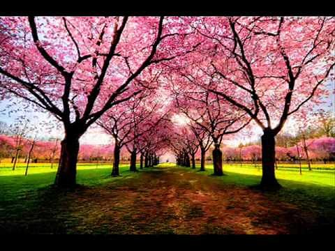 Everyday and Everynight (with Lyrics)