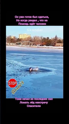 Те моменты когда кажется, что нашей планеты есть шанс на жизни #вселенная