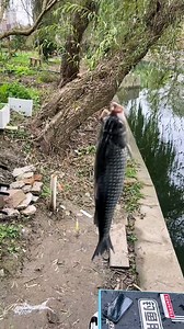 #fishing #fish #flyfishing #nature #catchandrelease #bassfishing #fishinglife #travel #photography #ocean #trout #bass #adventure #angler #florida #beach #fisherman #tightlines #fishingislife #fishingtrip #largemouthbass #sunset #saltlife #saltwaterfishing #hunting #summer #lake #boat #troutfishing #photooftheday --- | Fishing and Hunting