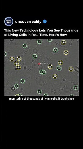 This New Technology Let You See Thousands Of Living Cells In Real Time. Here's How #tech #shorts