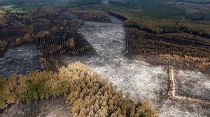 Incendies : les feux dans le sud-ouest de la France "désormais fixés"