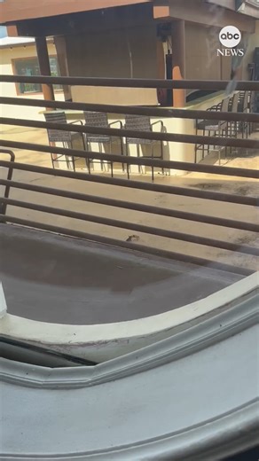 5.5M views · 26K reactions | Move over, Jake Paul and Mike Tyson. A mouse and crab threw up their dukes during a tiny tussle earlier this month in the U.S. Virgin Islands. https://abcnews.visitlink.me/ejco6r | ABC News | Facebook