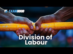 Division of Labor