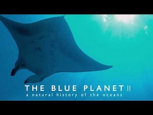 Soundtrack Blue Planet II (Theme Song - Epic Music) - Musique film Blue Planet 2