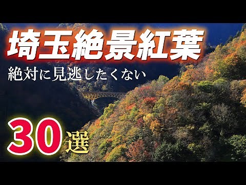 【保存版】埼玉の絶景紅葉名所30選/行ってよかった秋の絶景スポット/埼玉観光旅行vlog