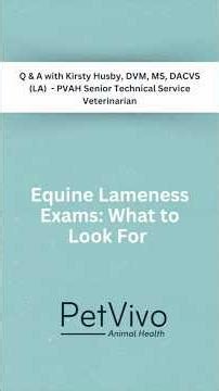 Equine Lameness Exams: What to Look For