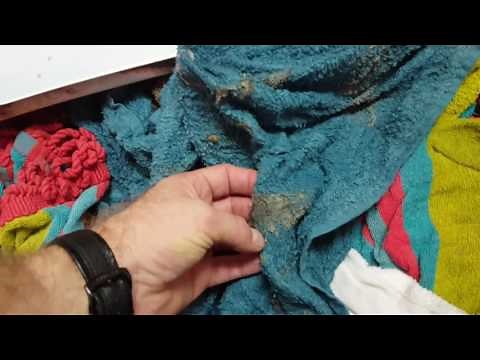 Clean Drain and Water Pump on Epic Z Washing Machine