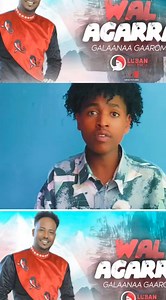 137K views · 8.6K reactions | #gurbatti #abdi Galoo kesn | Abdii Amboo | Facebook