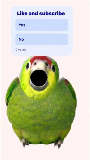 Wanna hear a tiger roar?#funny #like #sub #notgood #likeandsub #yes