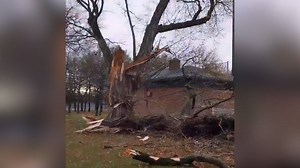 Strong winds, heavy rain cause damage, power outages in Greater Toronto Area