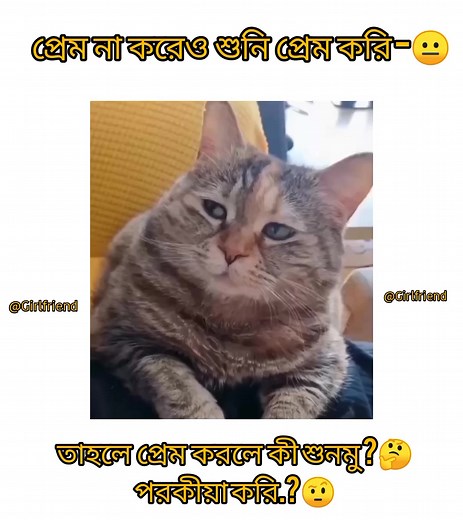 6.7K views · 314 reactions |  | Girlfriend | Facebook