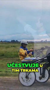 ČIBI je učestvovao na Ljubičevskim konjičkim igrama ❗ | Lovci Na Ubice