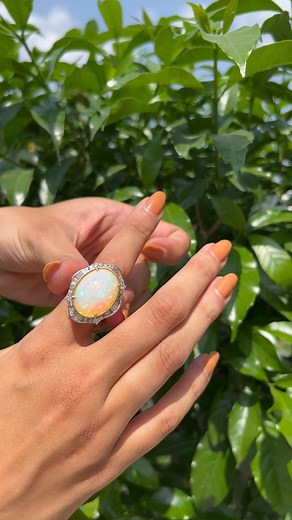 9.5K views · 17 reactions | The most unique treasure from nature Witness entire new collection of Opal rings at #urjajewels #madeinnepal #durbarmarg #everydaydiamonds #diamondjewelry #instajewelry #naturaldiamonds #jewelrystorenepal #tiktokviral #jewelrytrends #latestjewellery #nepalibride #diamondring #opalring | Urja Jewels | Facebook