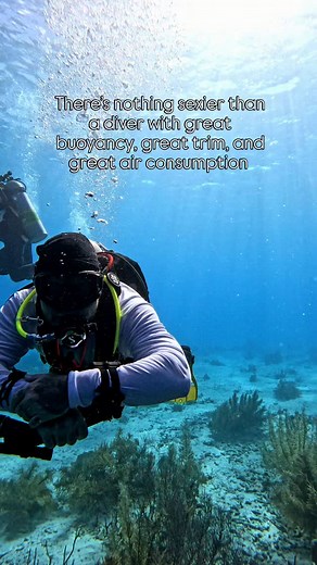 Dani on Instagram: "Understanding the balance between buoyancy, trim, weighting, and breathing is beneficial to improve your dives. 1. Buoyancy It determines whether you float, sink, or stay neutral in the water column. It's affected by your body, equipment, and the air in your BCD and lungs. 2 Trim Trim refers to your body position in the water. The ideal trim is horizontal. It reduces drag, conserves energy, and protects the environment beneath you. Your equipment positioning can also interfer