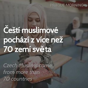 8.1K views · 91 reactions | How many Muslims are living in the Czech Republic? | Prague Morning | Facebook