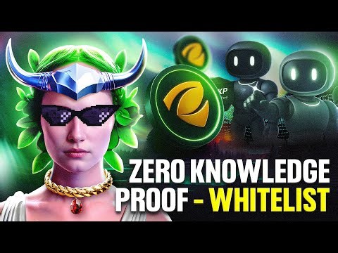 ZKP: Where Zero-Knowledge Proof Meets Champions — FC Barcelona & The Dolphins On Board