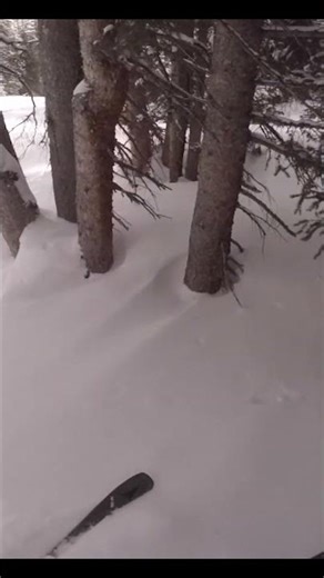 Fresh Tracks and Crash #skiing