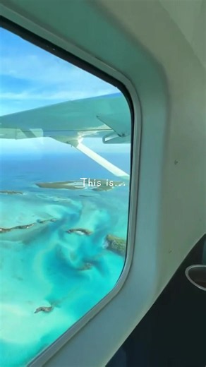 Would you visit? 👀 🇧🇸 THE BAHAMAS 🇧🇸 🏝️ Relax on stunning beaches 🐷 Swim with the famous pigs 🤿 Snorkel & scuba dive 🐠 Swim with sharks & stingrays 🚤 Explore the islands by boat 🌊 Visit the famous Blue Holes 🏛️ Explore Nassau & Paradise Island 🐬 See incredible marine life 🌅 Watch the most amazing sunsets From relaxing beach days to unforgettable adventures, the Bahamas has something for everyone! 🇧🇸🌴 #bahamas #holidays #travel #travelling #familyholiday