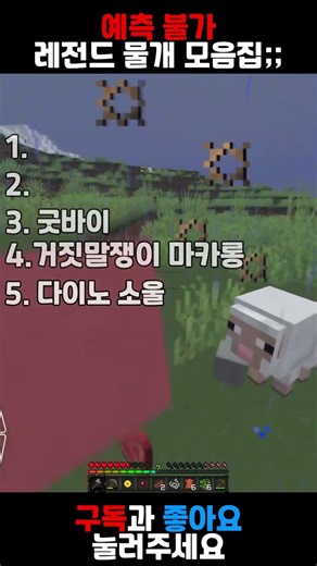 예측불가 물개 TOP5