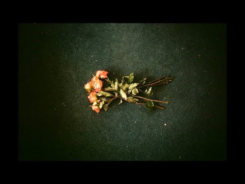 (フリートラック/FREE) Melodic Piano × Emotional trap Type Beat - “My Boo”