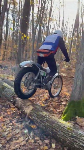 Up a hill and over a log - 1972 Ossa 250 MAR
