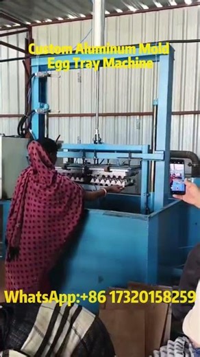 Custom Aluminum Mold Egg Tray Forming Machine – High Efficiency Paper Pulp Molding Solution#eggtray