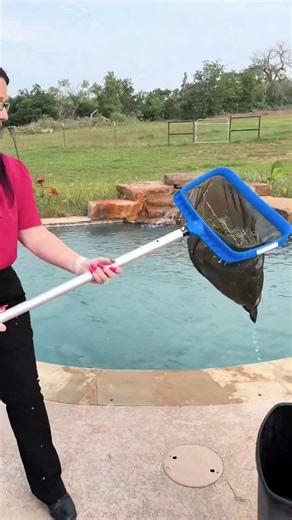 Heavy Duty Pool Leaf Rake Net for Inground & Above Ground Pools 🏊‍♂️ #shorts #pool