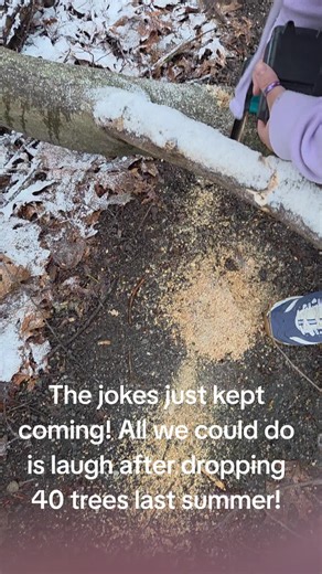 Not the best start to the day. Thankful it was a small tree! #tree #trees #treefell #usingwhatyouhave#treeremoval